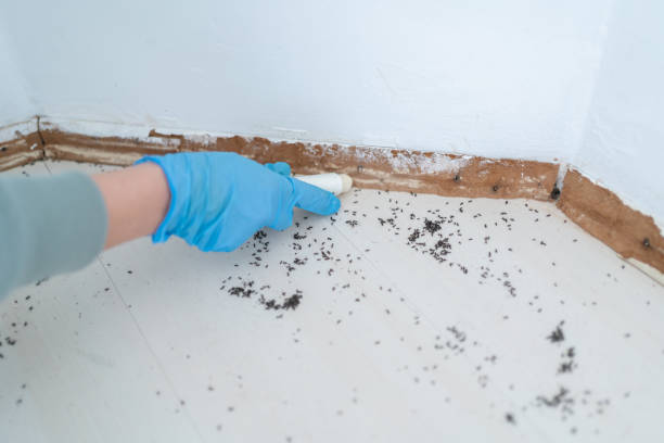 Best Commercial Pest Control Services  in Grand Blanc, MI